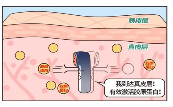 盘锦胶原蛋白