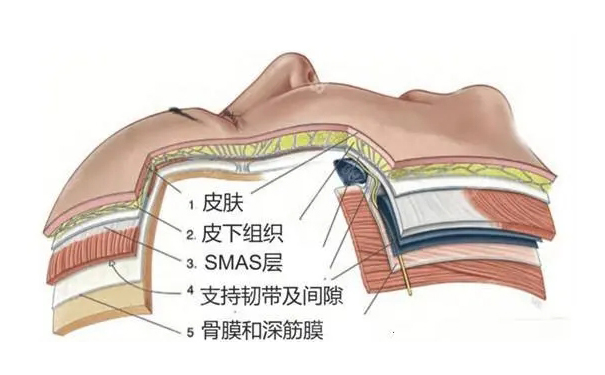 盘锦美容整形