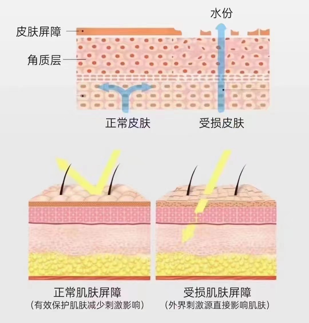 盘锦克拉拉医疗整形.jpg